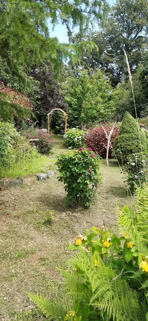 Garden 2.jpg